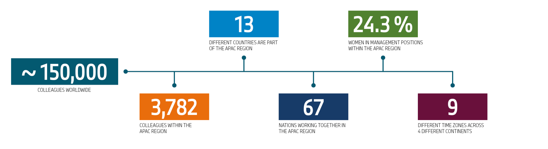 This graphic shows some facts about diversity at the BMW Group in Asia-Pacific.