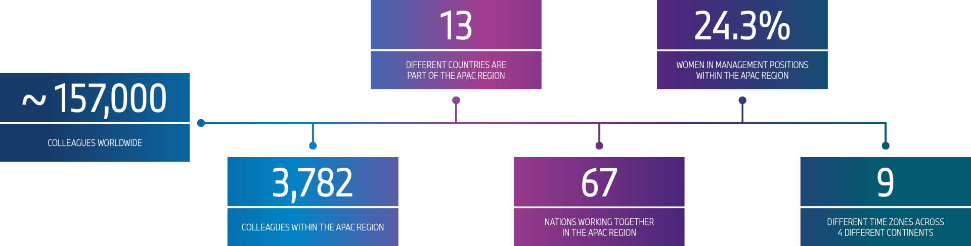 This graphic shows some facts about equal opportunities at the BMW Group in Asia-Pacific.