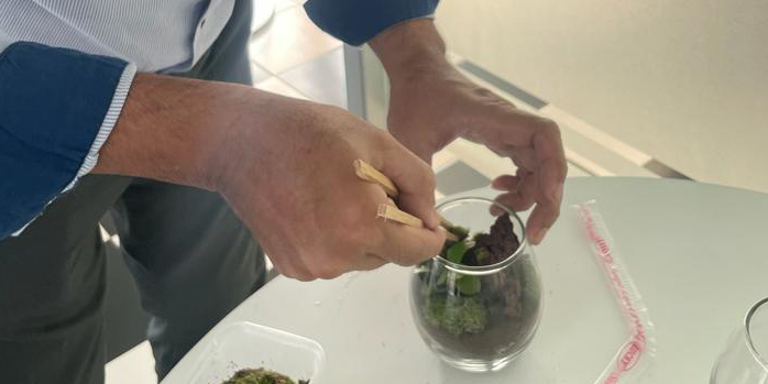 Hands planting new plants. 