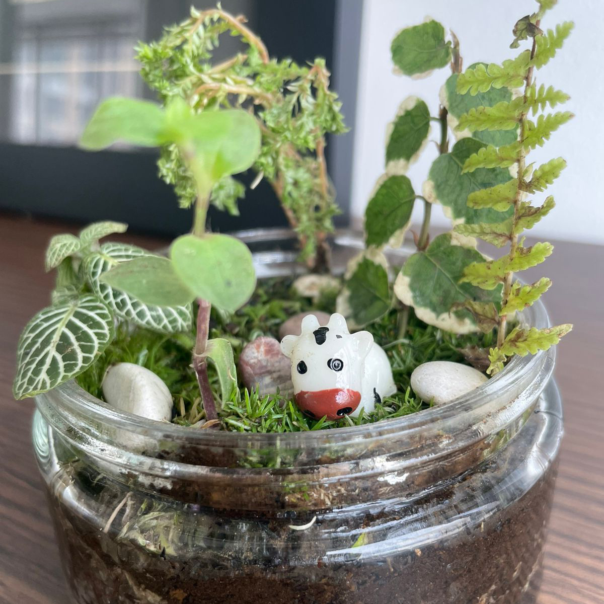BMW Group Indonesia employees posing for a group photo, holding their new plant pots.