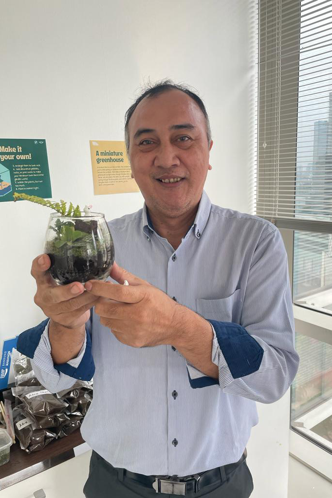 Plant pot with succulents.