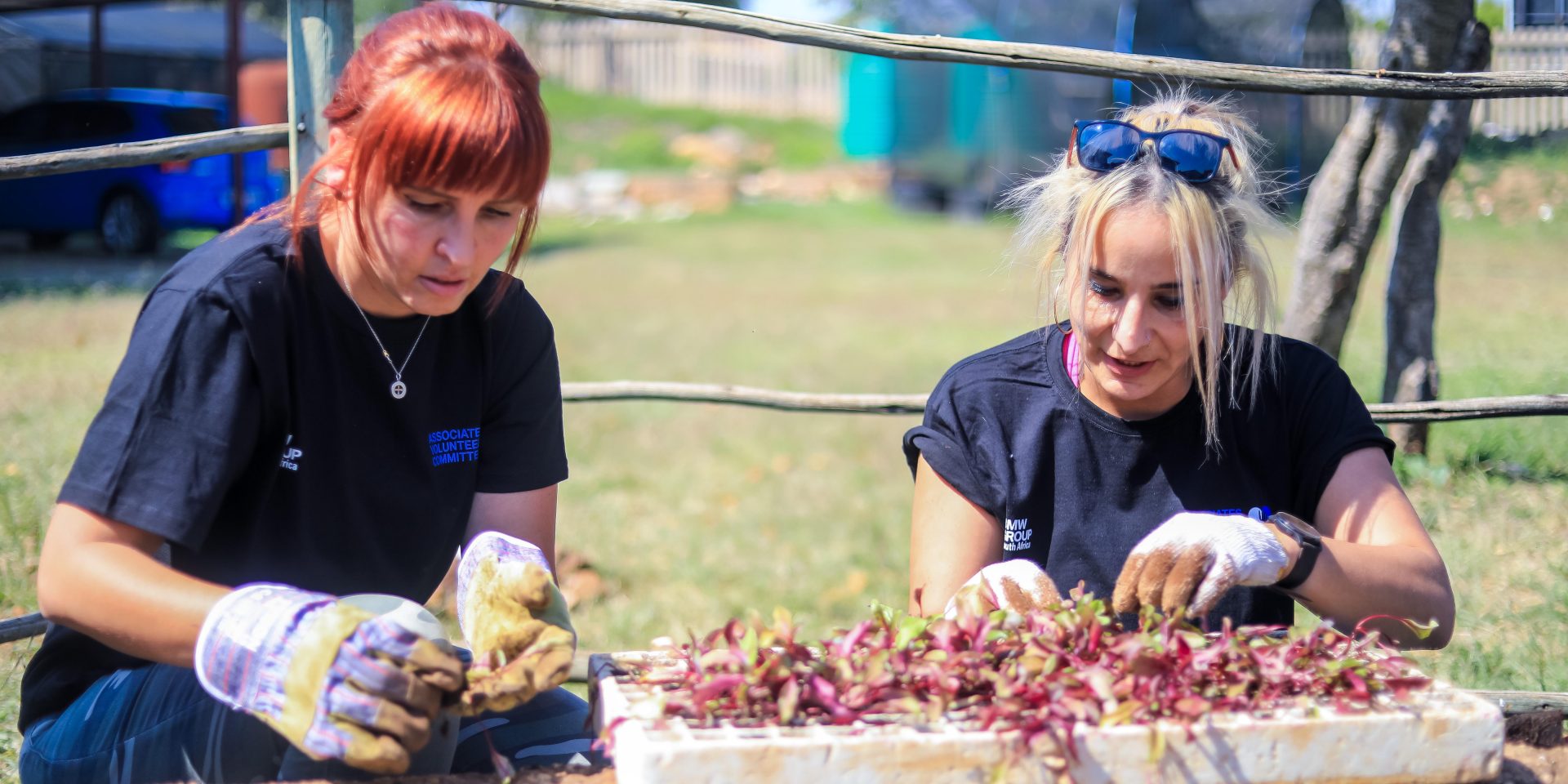 BMW Group South Africa employees gardening.