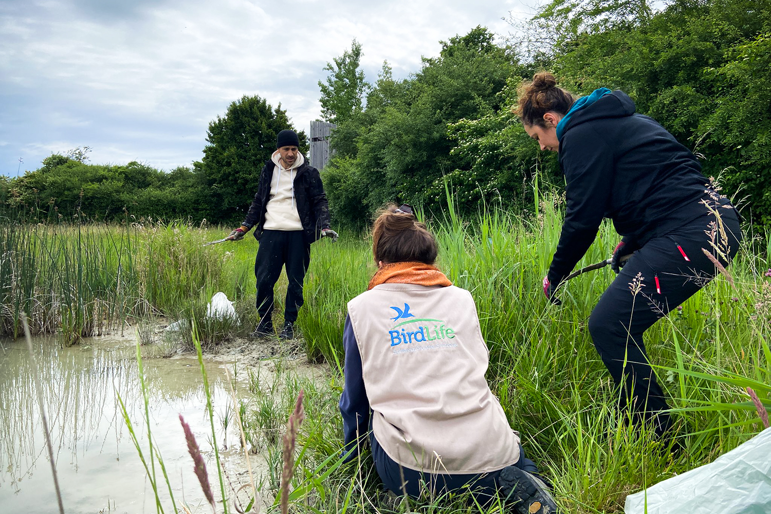 Mitarbeitende der BMW Group bei ehrenamtlicher Arbeit in einem Moor