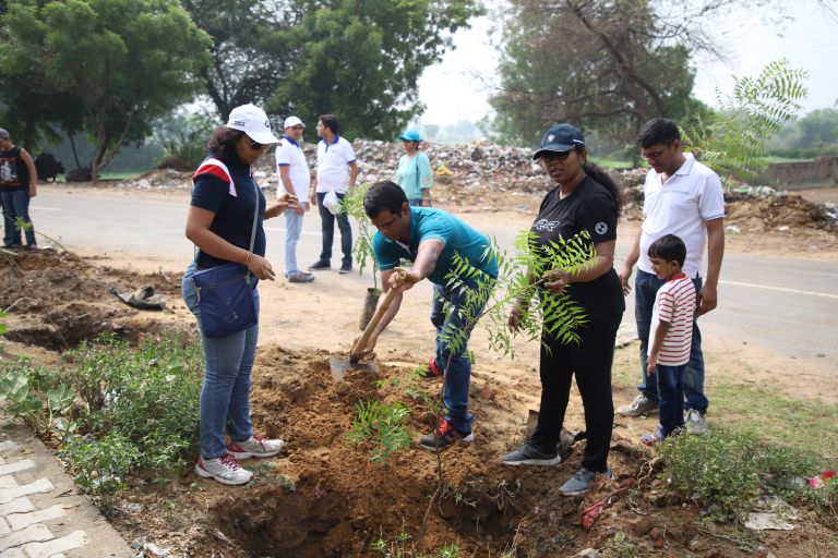 Group employees planting trees.