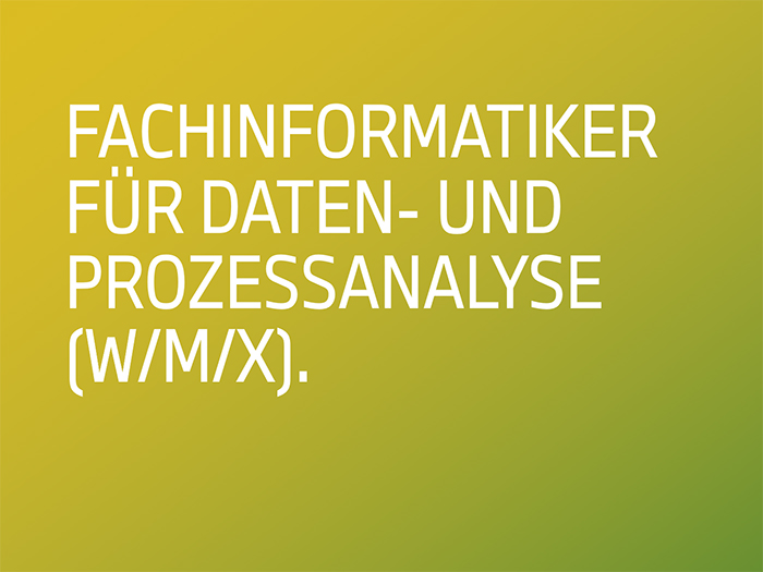 Fachinformatiker für Daten- und Prozessanalyse (w/m/x)