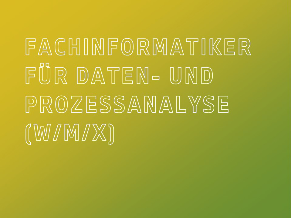 Fachinformatiker für Daten- und Prozessanalyse (w/m/x)