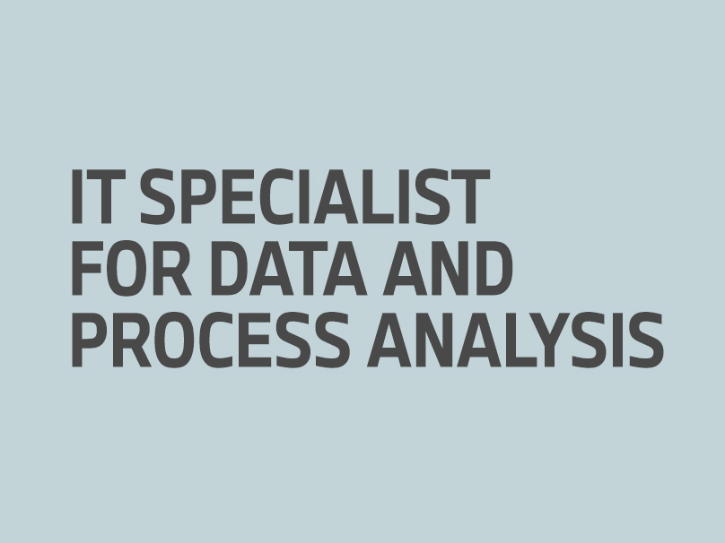 IT Specialist for Data and Process Analysis
