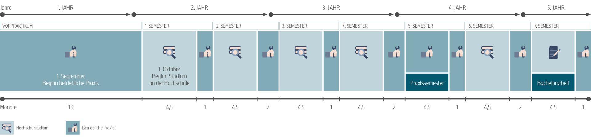Programmablauf des duales Studium für Cyber Security.