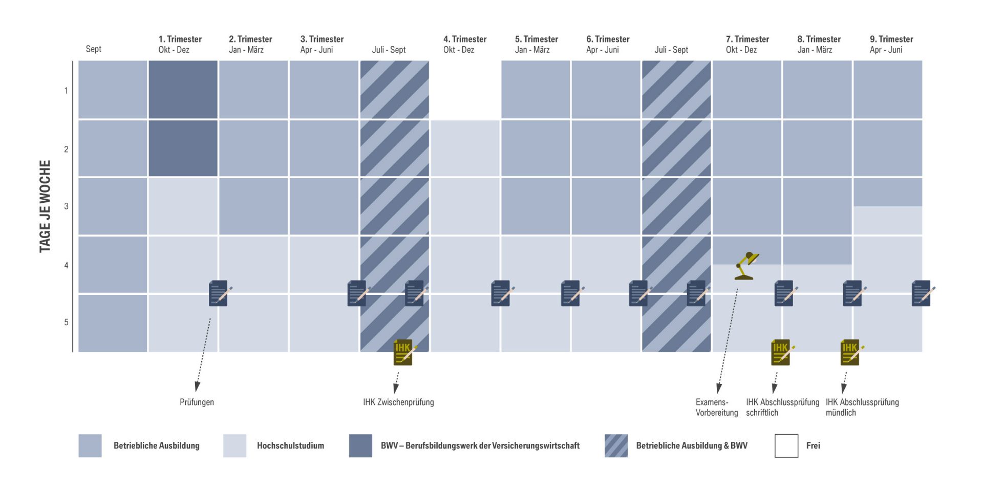 Ablauf des Dualen Studiums bei der BMW Group.