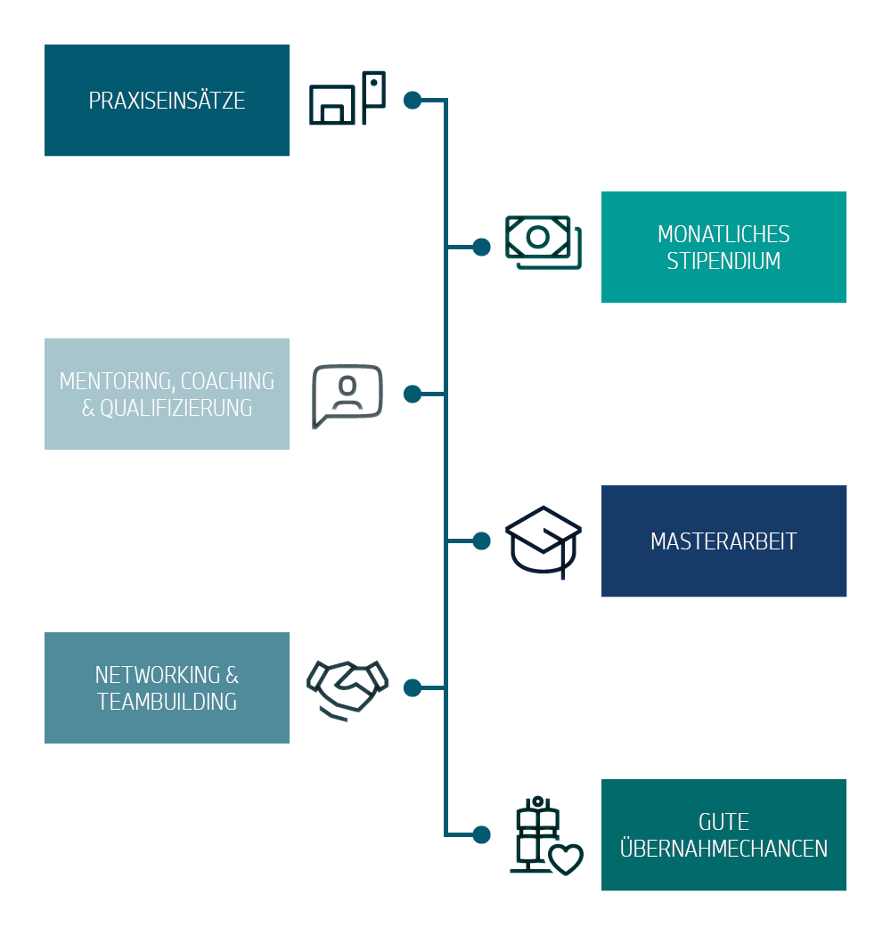 Programminhalte des Fastlane Master Programms.