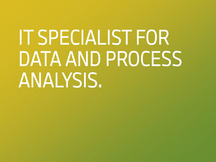 IT Specialist for Data and Process Analysis