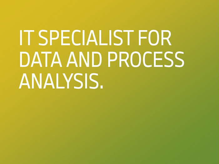 IT Specialist for Data and Process Analysis