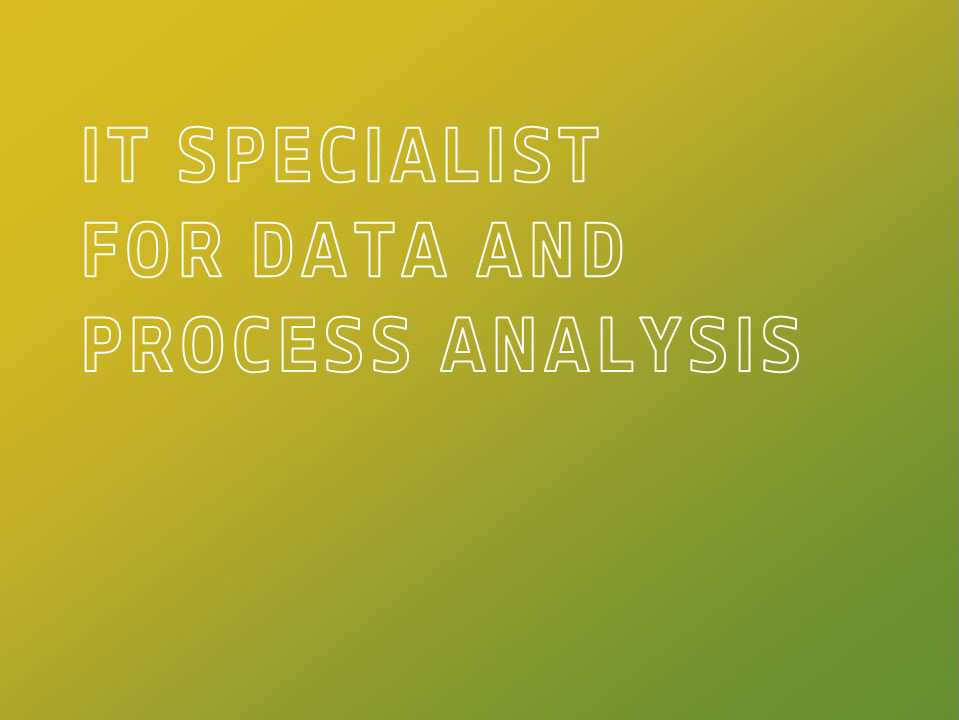 IT Specialist for Data and Process Analysis