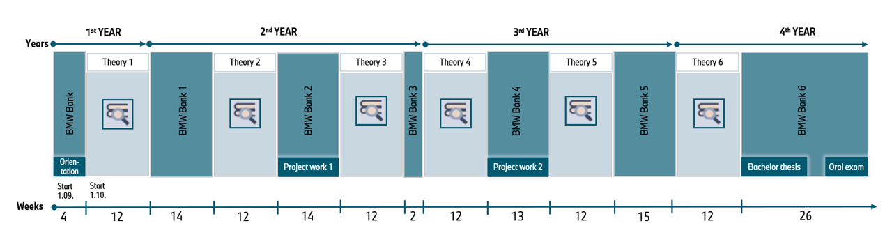 Course of the dual study program at the BMW Group.