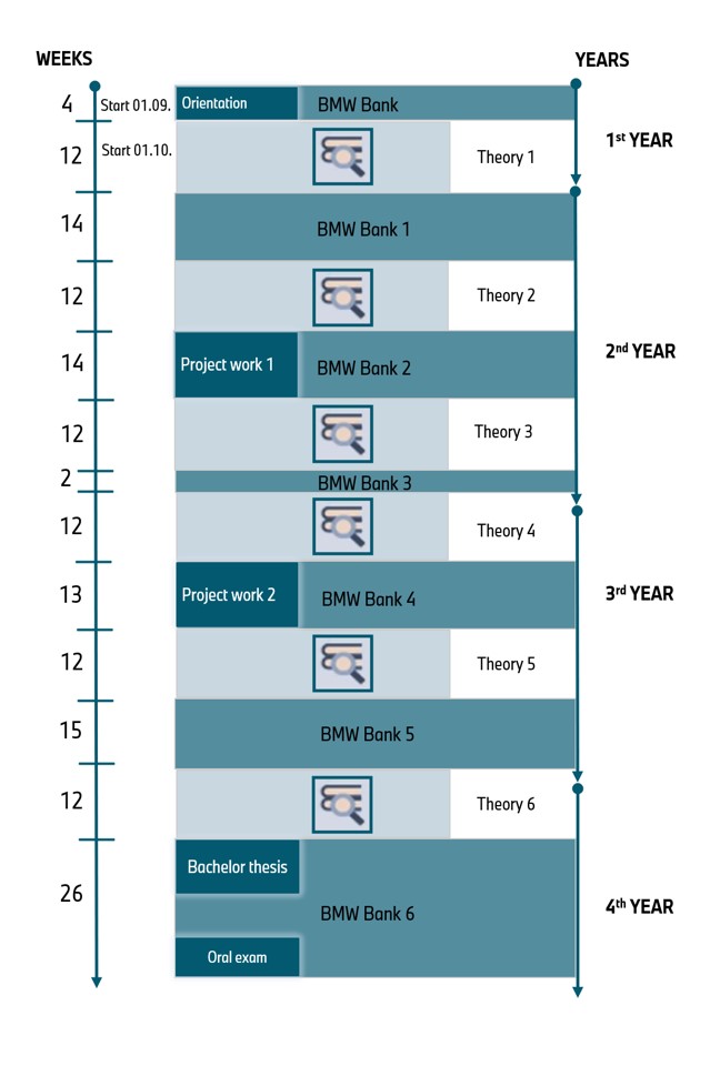 Course of the dual study program at the BMW Group.