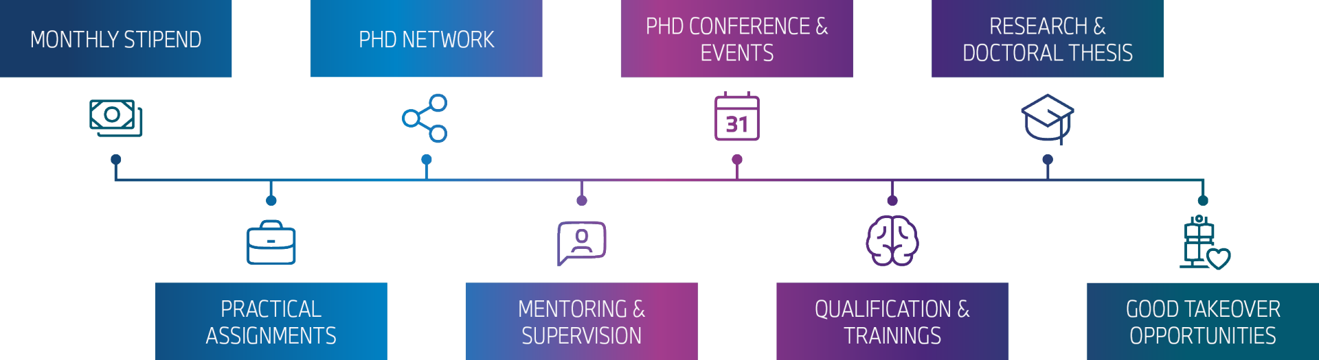 ProMotion PhD programme contents.