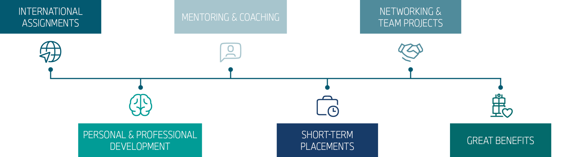 The graph shows the AcceleratiON programme at a glance.