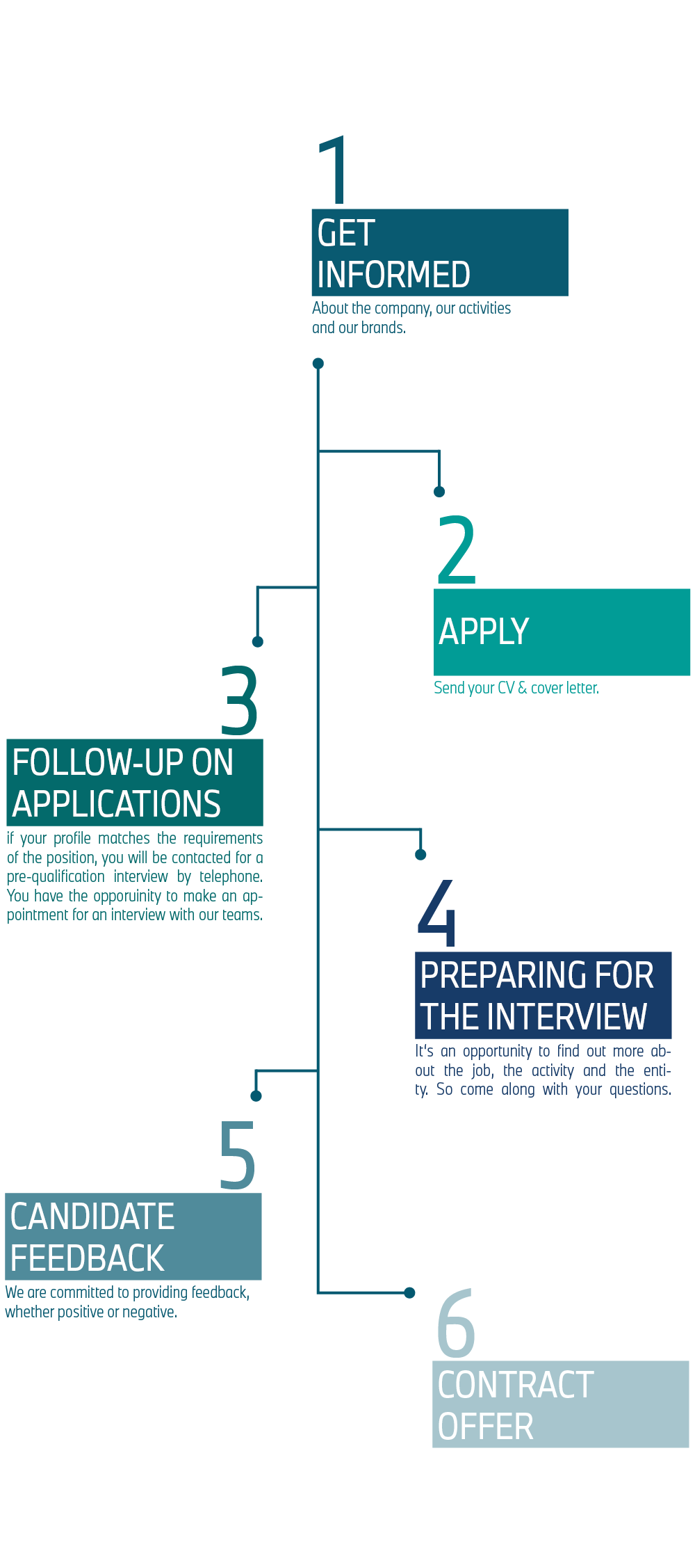 A graphic shows the six steps of the BMW Group application process in France.