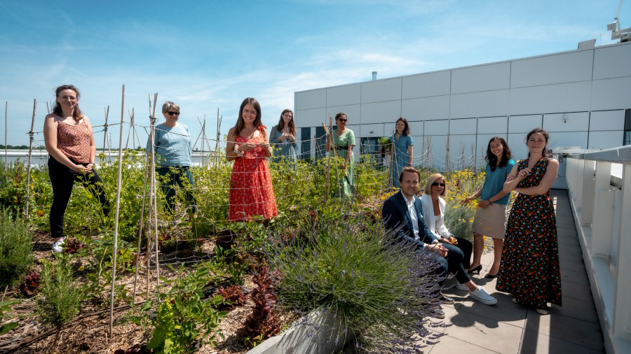 Collègues travaillant sur le toit-terrasse du campus du groupe BMW en France