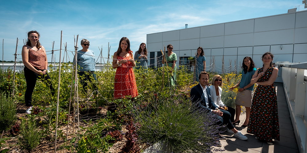Un groupe de collègues travaillant sur le jardin suspendu du bâtiment du campus en France