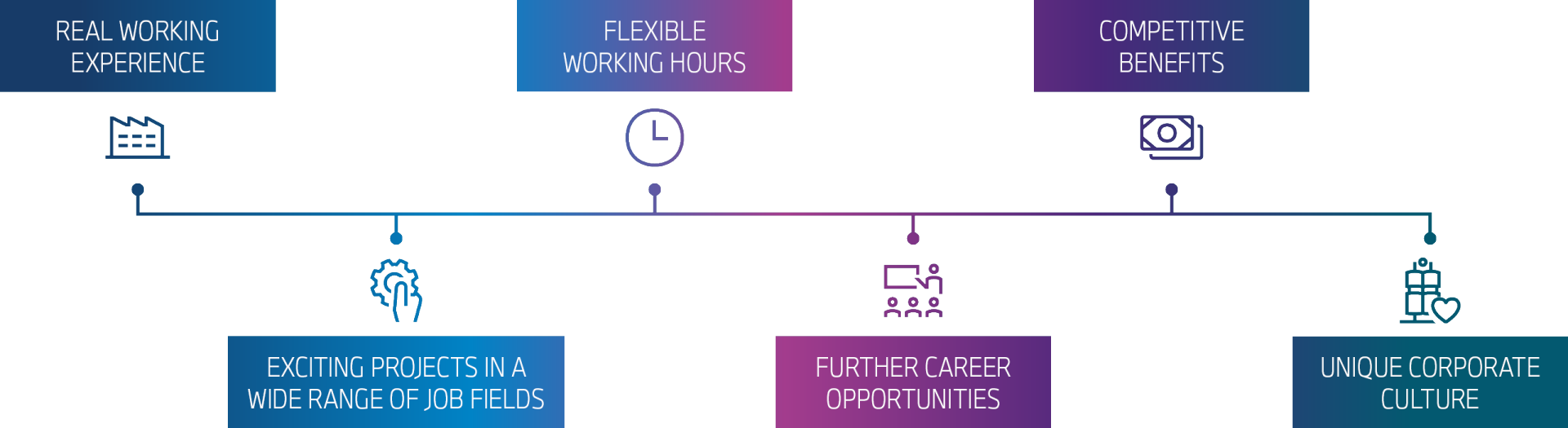 Program content of the masters programme "Fastlane"