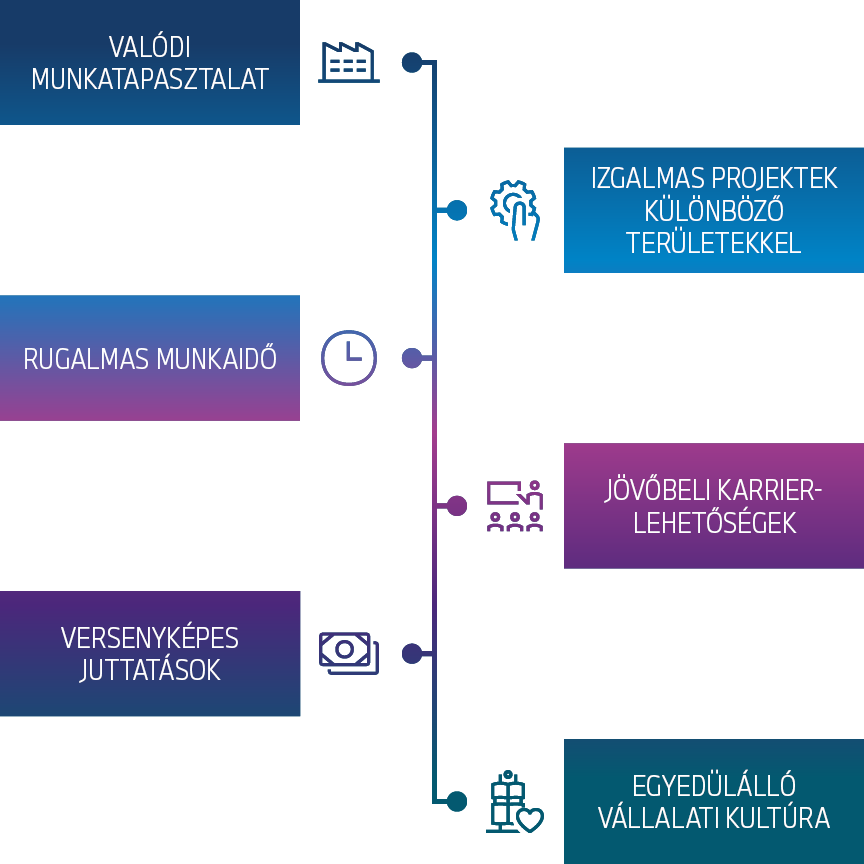 Program content of the masters programme "Fastlane"