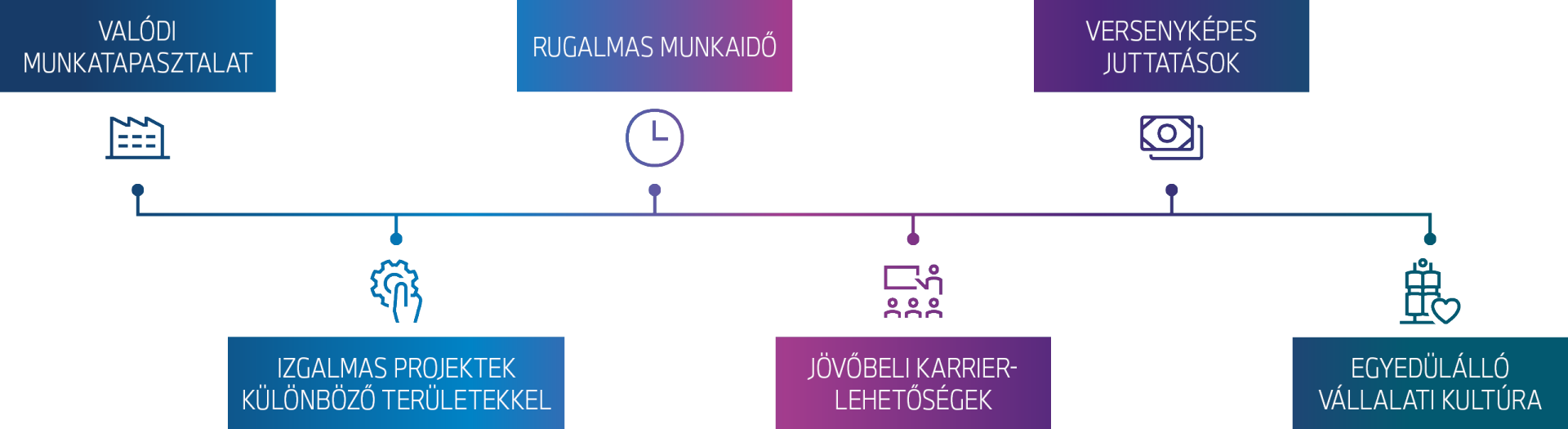 A „Fastlane” mesterképzés programjának tartalma