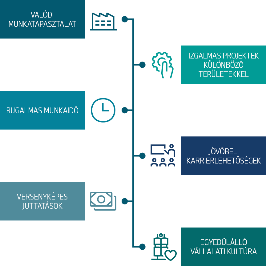 A „Fastlane” mesterképzés programjának tartalma