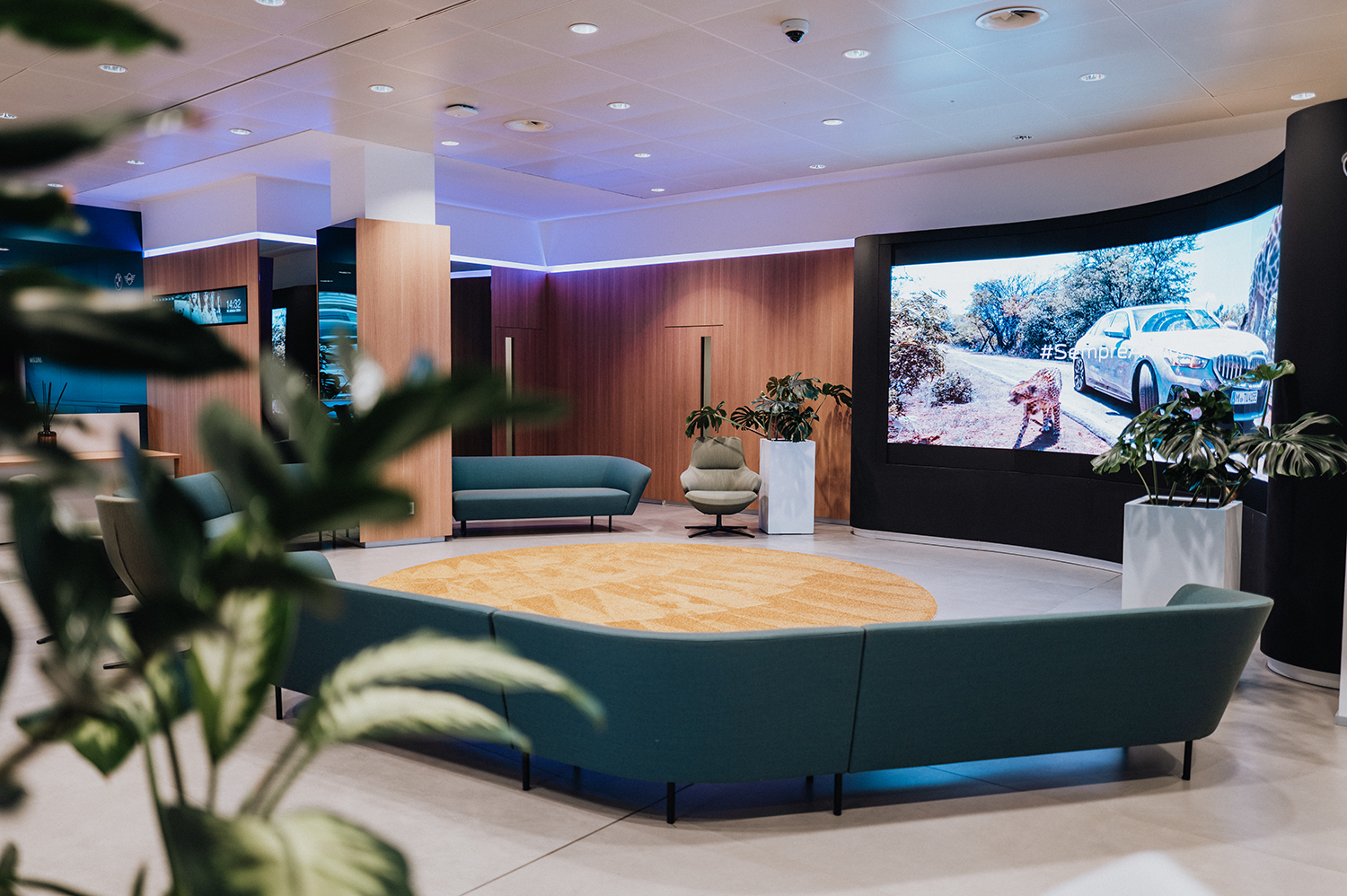 Media Gallery