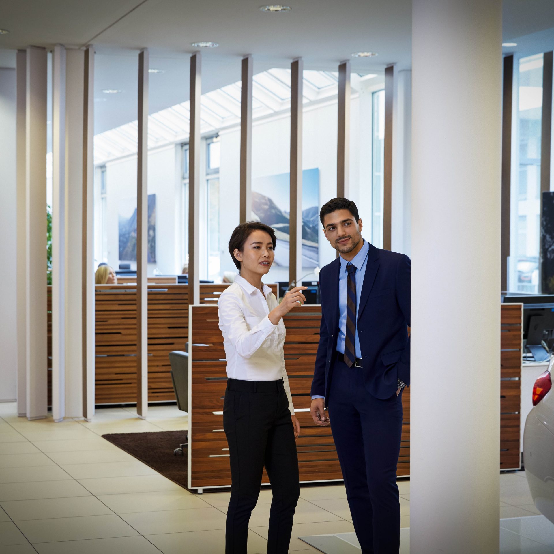 Sales Channel and Dealer Development.