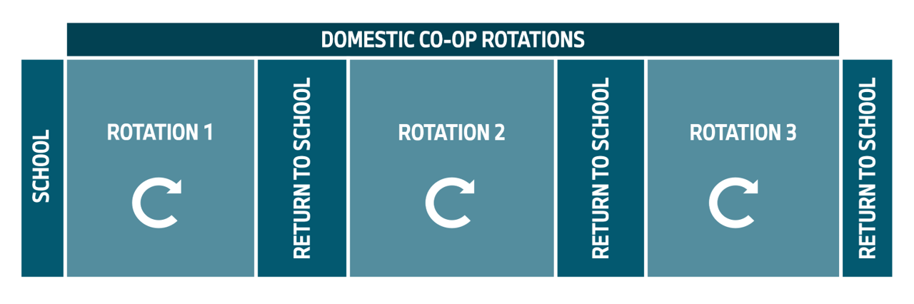 The graph shows the rotation for domestic interns and co-ops at plant Spartanburg.